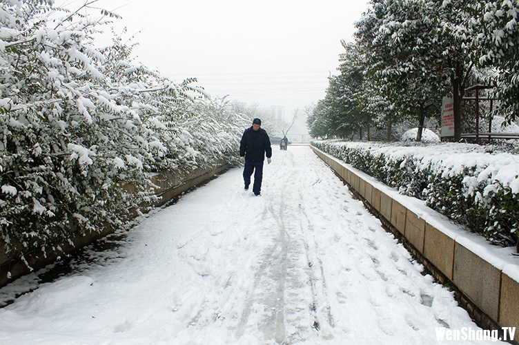汶上雪景[2012年12月21日]