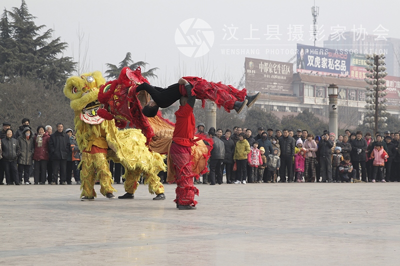 汶上摄影