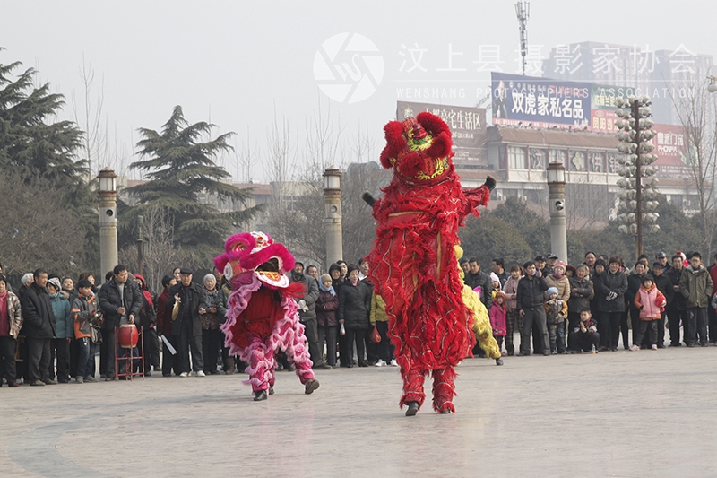 汶上摄影