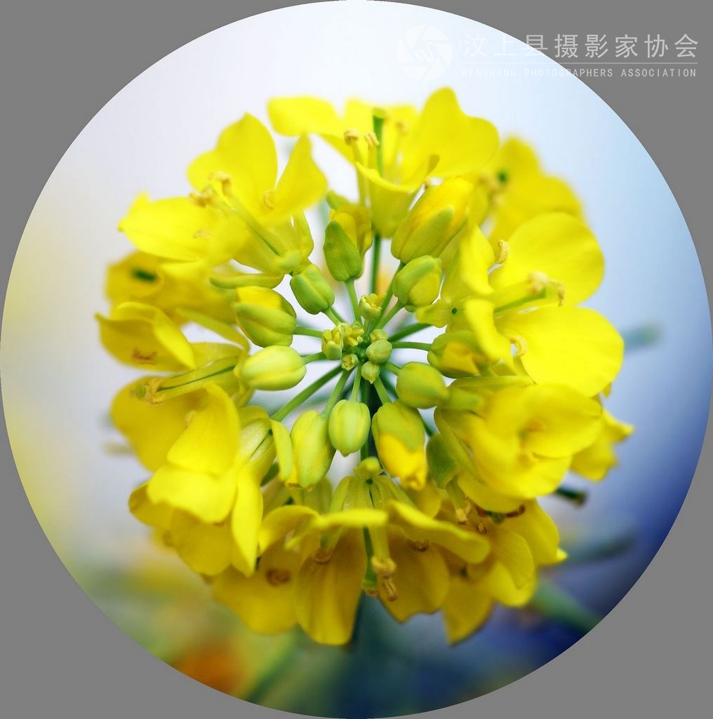 DSC01000.JPG