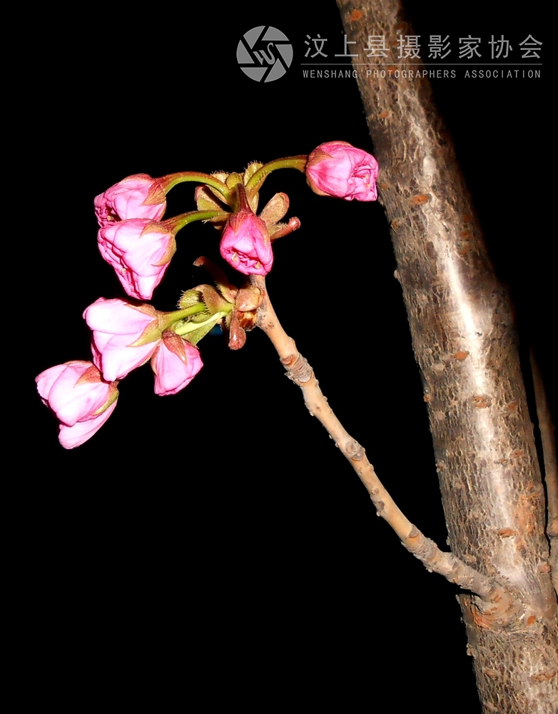DSCN1110.jpg