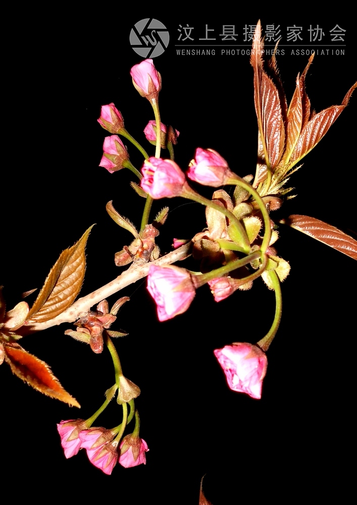 DSCN1118.jpg