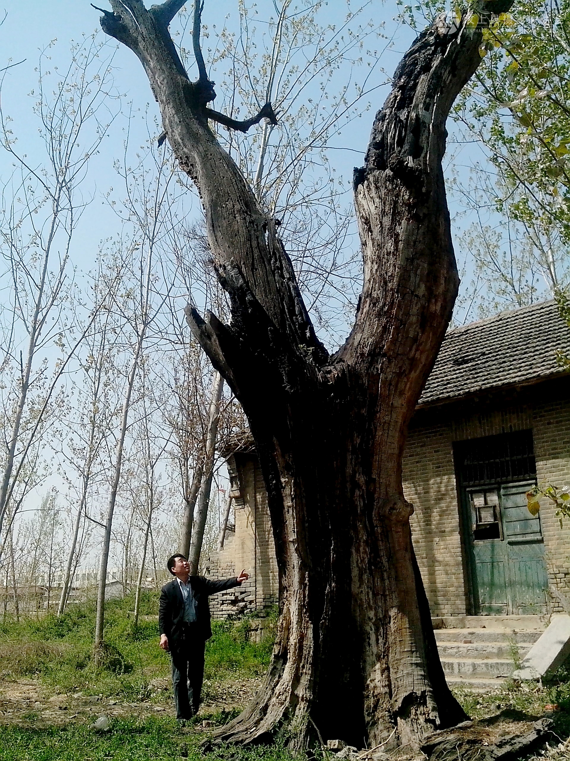 IMG_20130413_141159.jpg