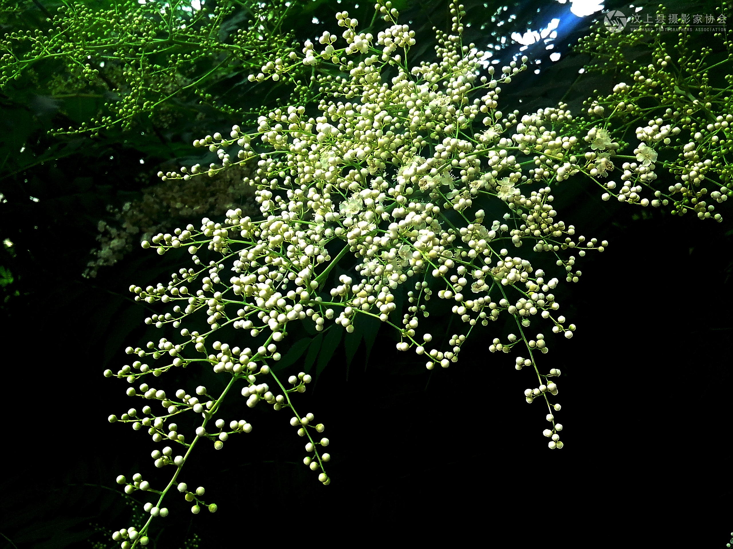 IMG_20130528_162320.jpg