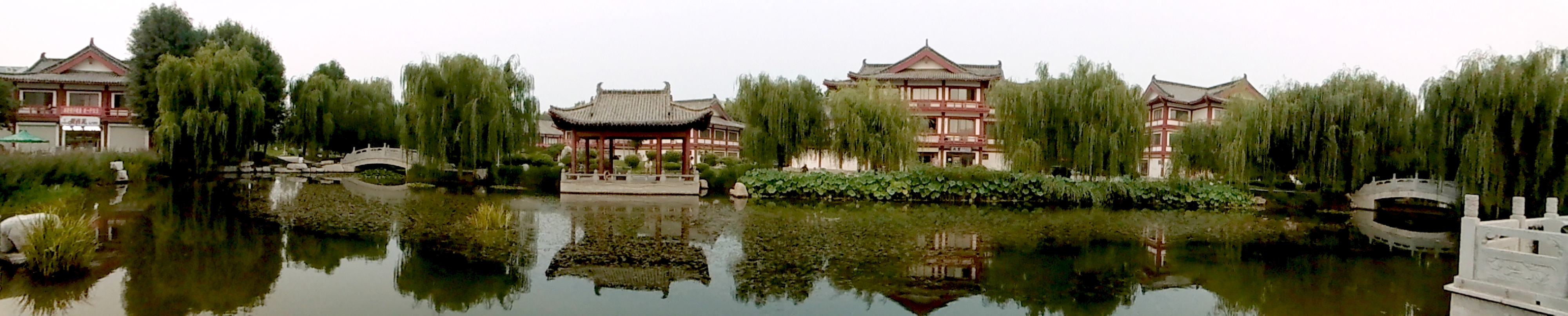 DSCI0307.jpg