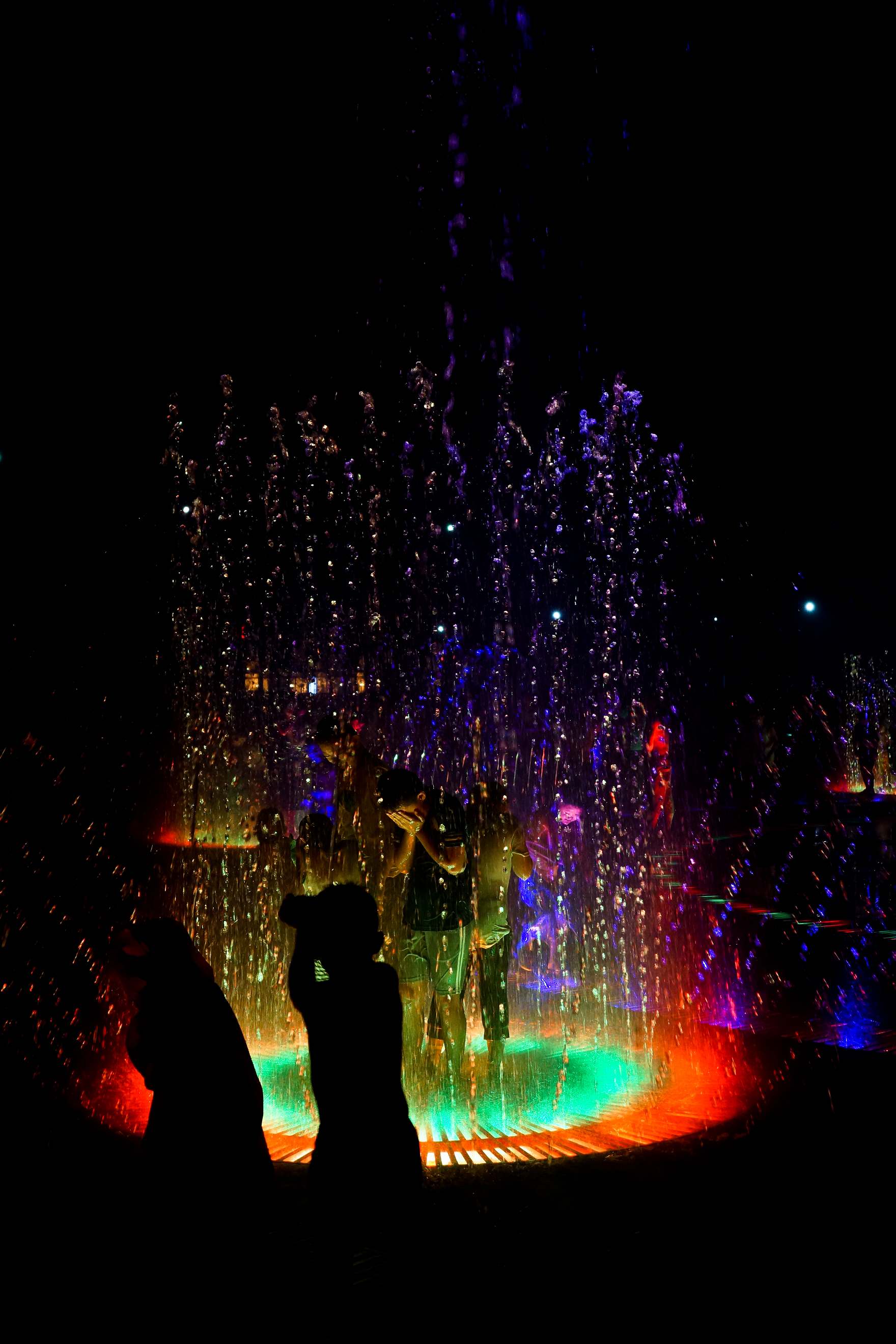 DSC05618.jpg