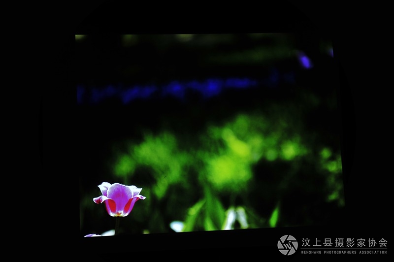 照片 039_副本.jpg