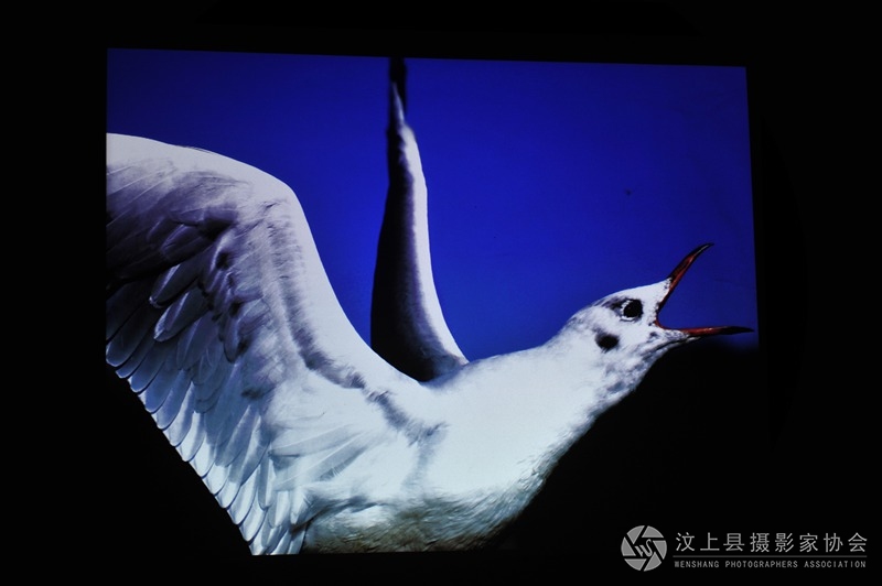 照片 057_副本.jpg