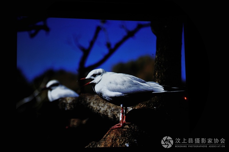 照片 059_副本.jpg