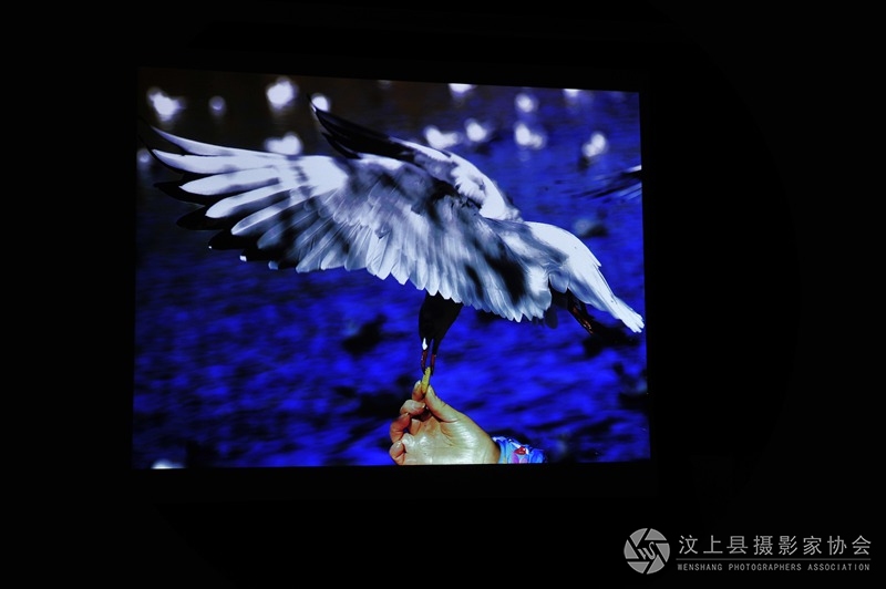 照片 066_副本.jpg