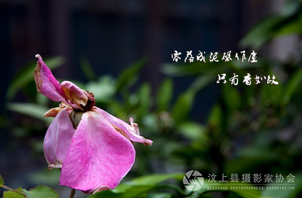 _MG_6321.jpg