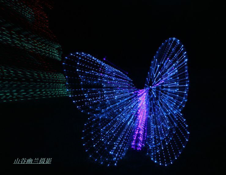 翩翩飞.jpg