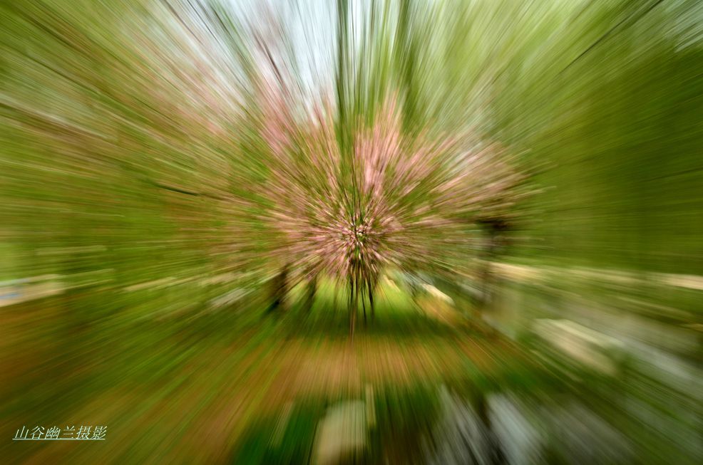 65.jpg