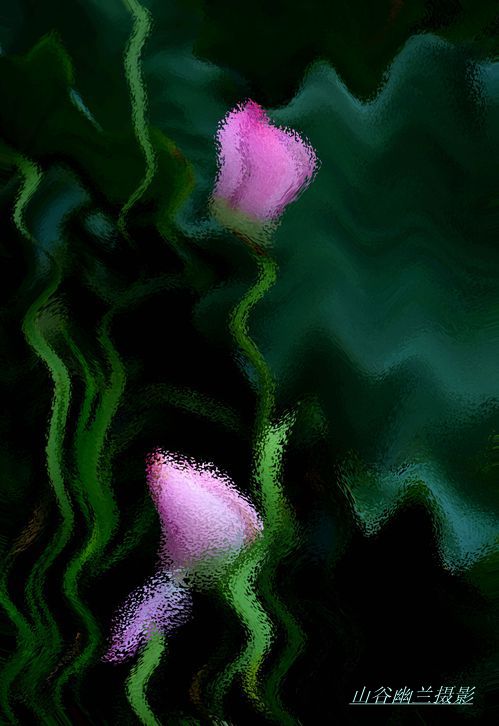 水中花__.jpg