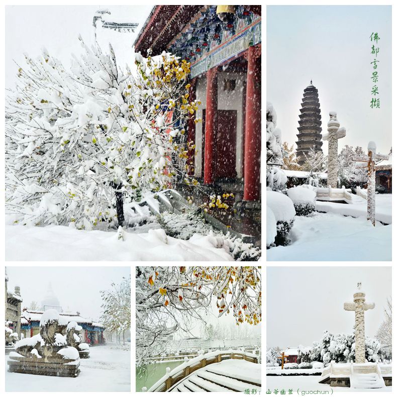 佛都雪景采撷.jpg