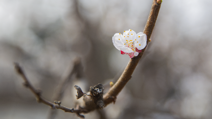 IMG_2496.png
