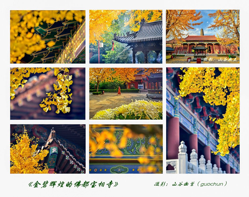 佛都秋色浓.jpg