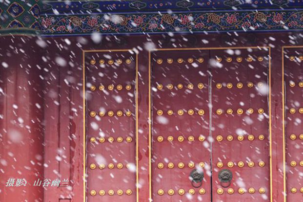 雪2.jpg