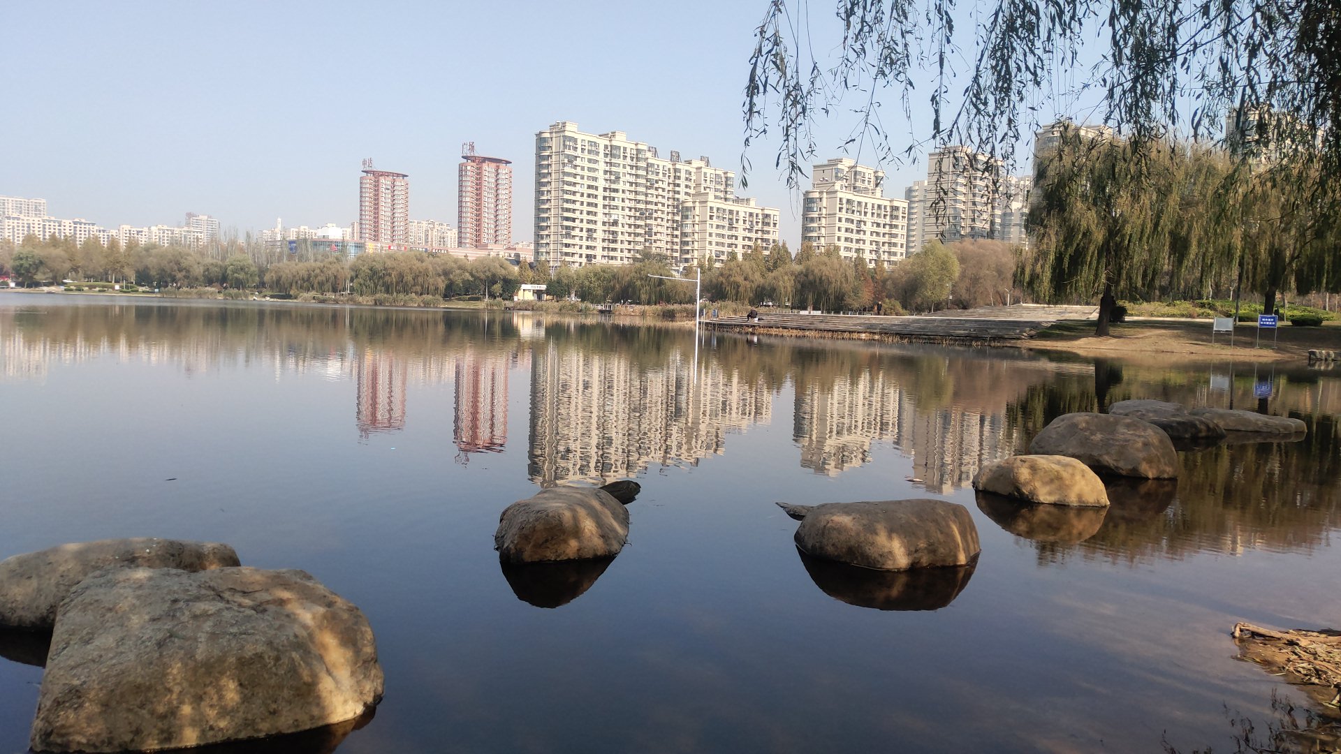 P11113-124204.jpg