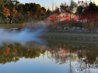 汶上莲花湖晨景