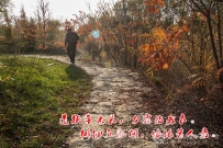 道狭草木长，夕露沾我衣。徘徊丘陇间，依依昔人居。