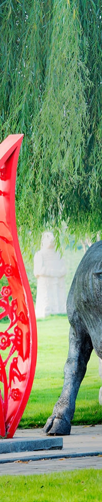 牧童遥指莲花湖