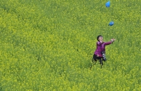 放飞梦想