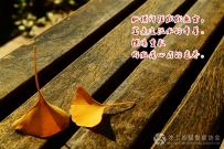 汶上莲花湖摄影小品 此生相伴