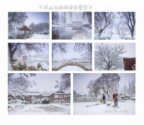 汶上长乐湖景区雪景——纪念2019第一场雪