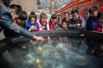 宝相祈福