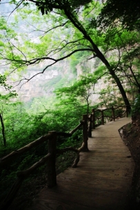 见山开路