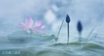 烟雨濛濛 处