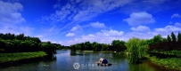 莲花湖湿地美景——陈主席作品